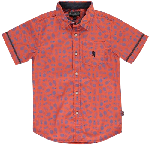 Boys' Short Sleeve Printed Woven Shirt 